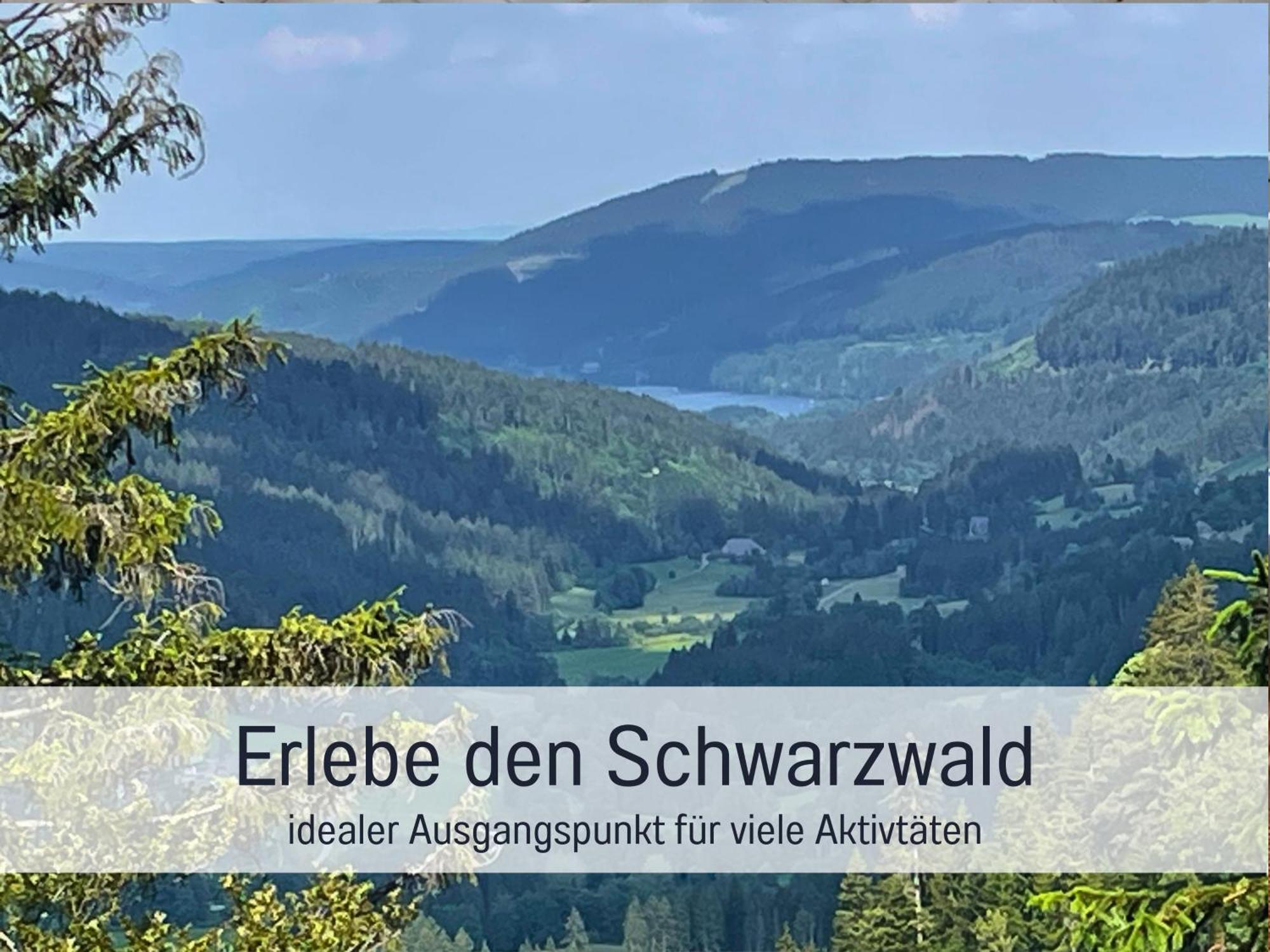 Ferienwohnungen Auszeit Langmatt Sulzburg Exterior foto