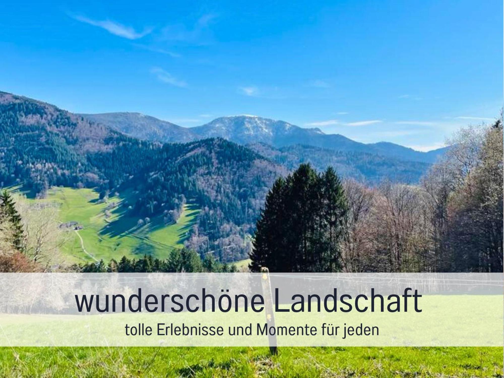 Ferienwohnungen Auszeit Langmatt Sulzburg Exterior foto