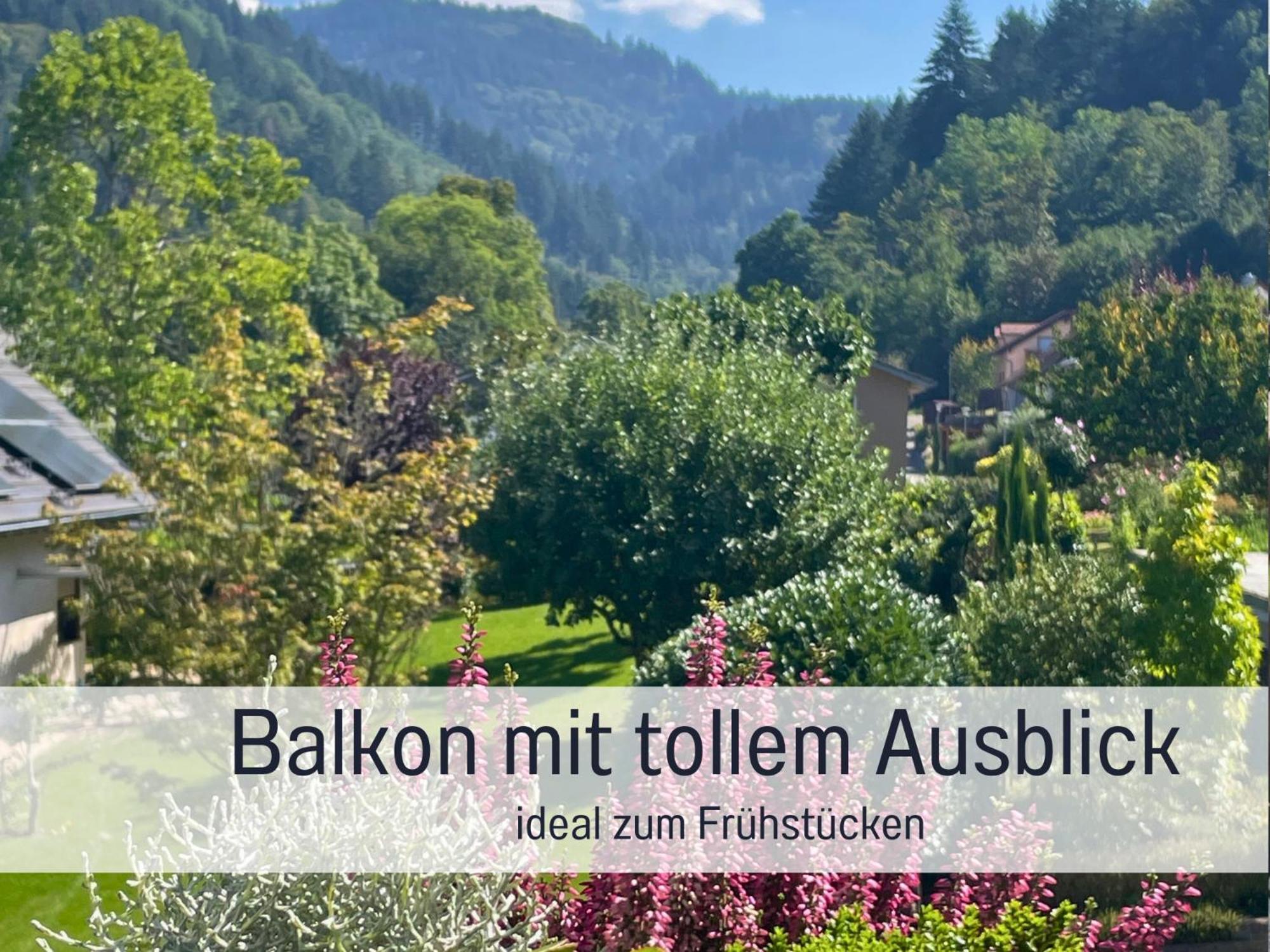 Ferienwohnungen Auszeit Langmatt Sulzburg Exterior foto